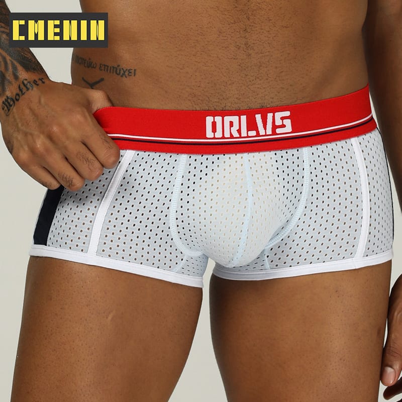Men Underwear Gay Boxer Mesh Boxers Breathable Man Cueca Male Panties Gay Boxershort Men's Clothing Homme Underpants OR193