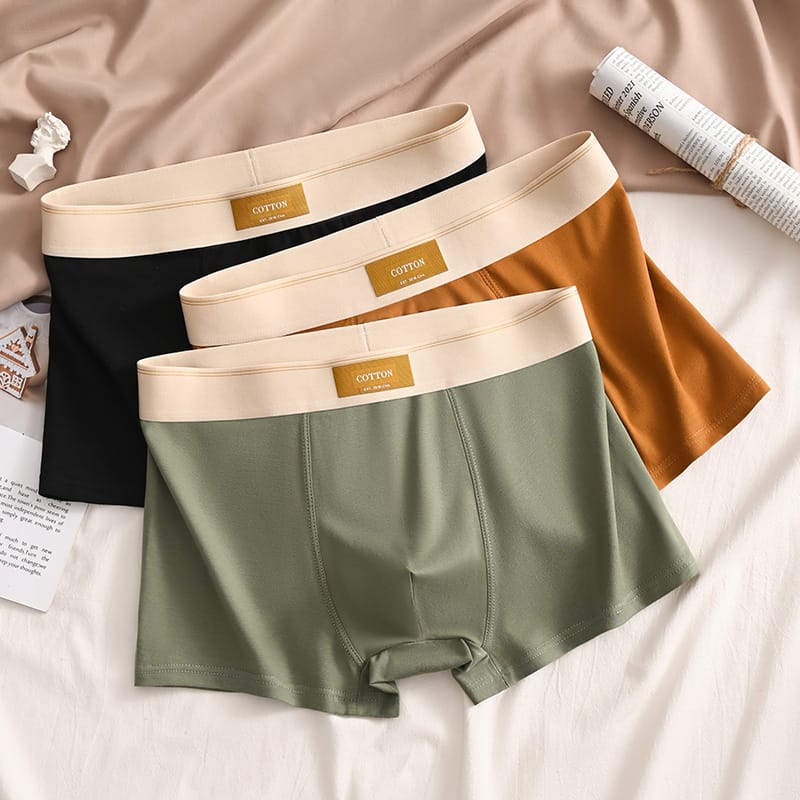 Luxury Men Underpants Man Cotton Breathable Comfortable Boxer Selling Shorts Men's Panties Plus Size Panties Underwear Gift