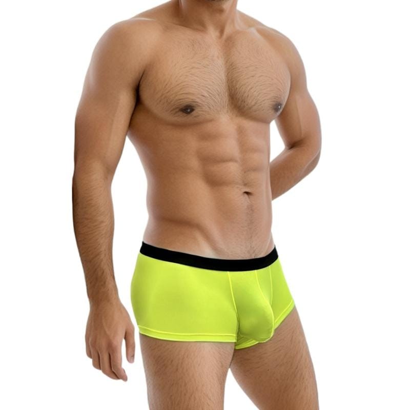 Mens Underwear U Convex Sexy Low Waist Boxers Thin Ice Silk Breathable Trunks Transparent Boxers Pack
