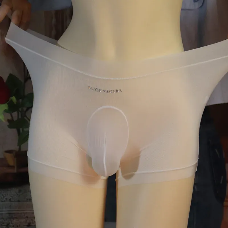 Glossy Sissy Pouch Panties Male Sexy Mesh Boxer Shorts Seamless See-Through Mens Underwear Lightweight Man Boxershorts Panties
