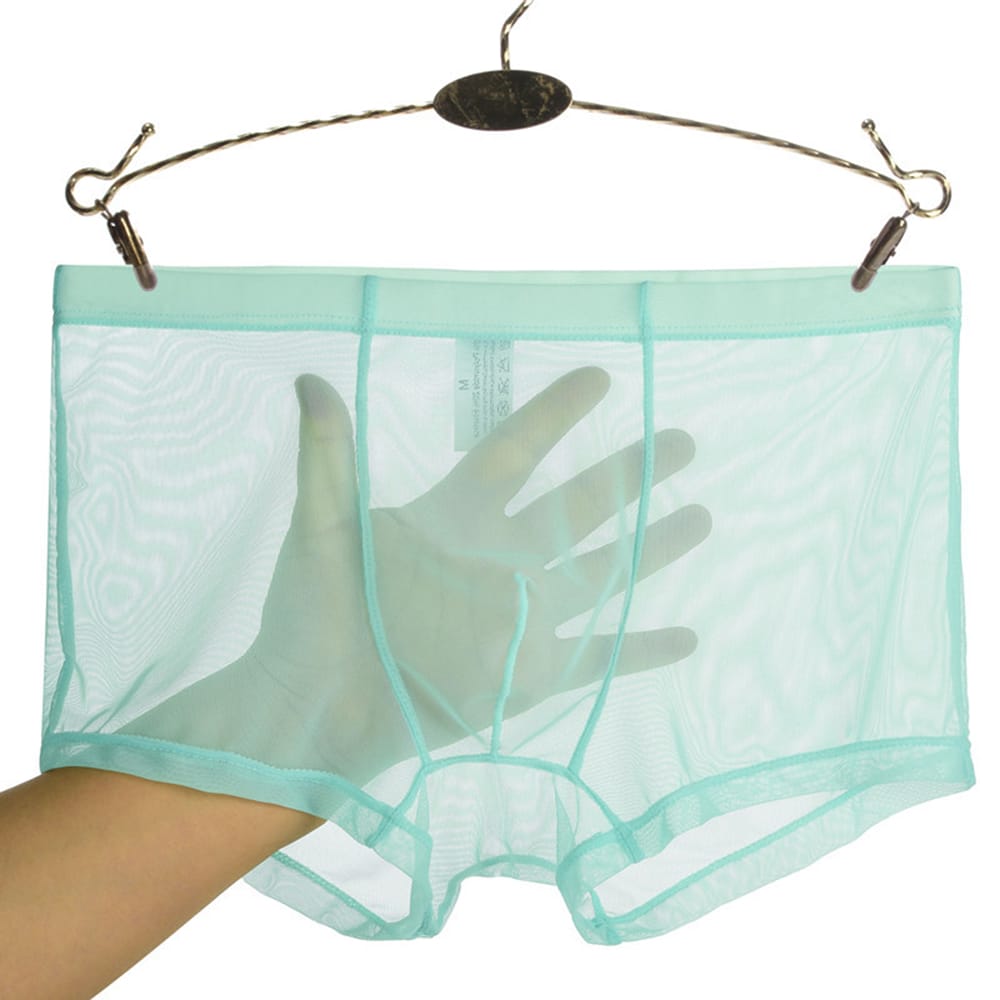 Men Trunks Sexy Mesh Transparent Boxer Briefs Ultra-thin U Convex Pouch Underwear Shorts Underpants Slip See Through Lingerie