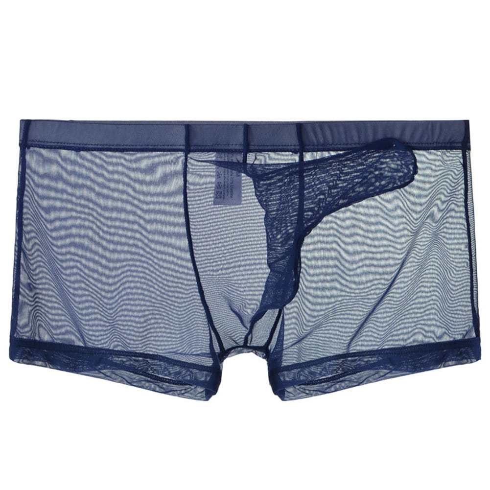 Sexy Men Transparent Trunks Underwear Ultra-Thin See Through Boxer Briefs Mesh Elephant Nose Panties Breathable Homme Slip