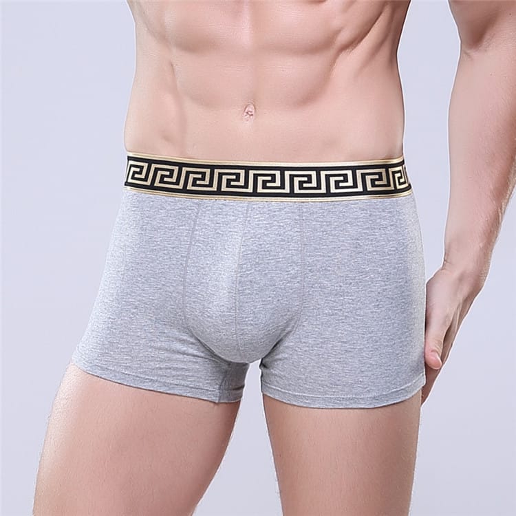 Retail Men's Cotton Underwear New Pure Cotton Fabric Trendy Boxers Boxer Shorts High-End Hot Men Underwear Sexy