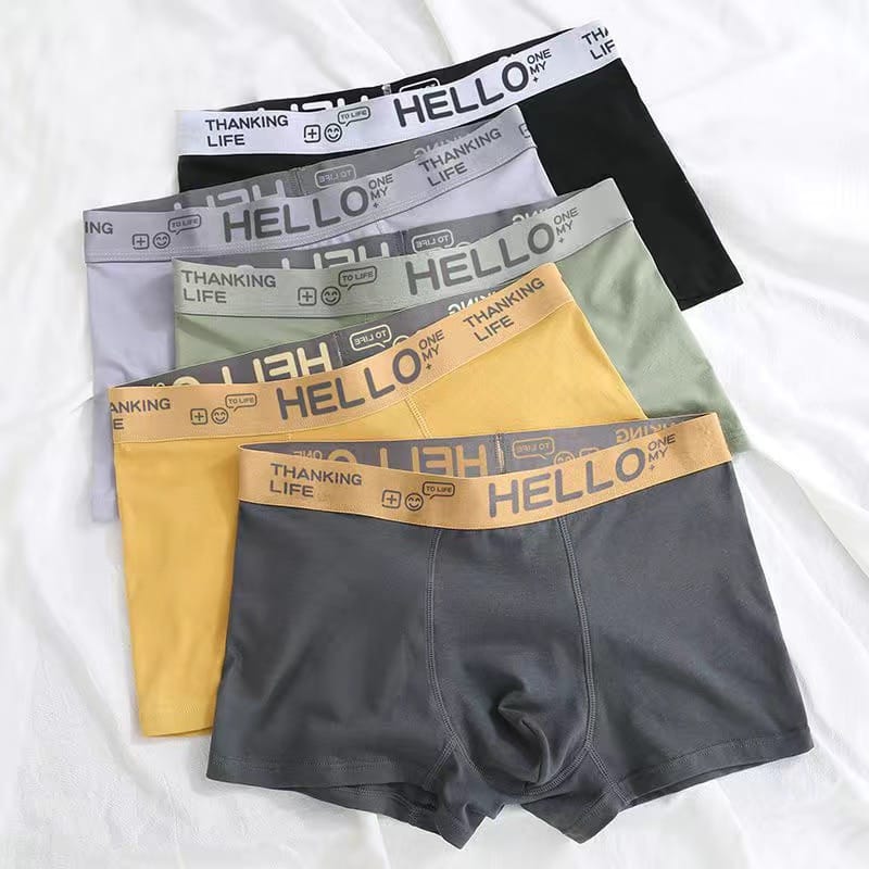 Boxers Men's Panties Underwear Comfortable Man Cotton Underpants Cuecas Calzoncillos Breathable Boxershorts Lot Plus Size L-4XL