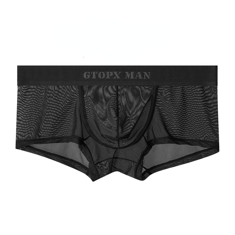 Underwear Mens Full Mesh Boxers Thin Ice Silk U Convex Low Waist Transparent Sexy Boys Underwear