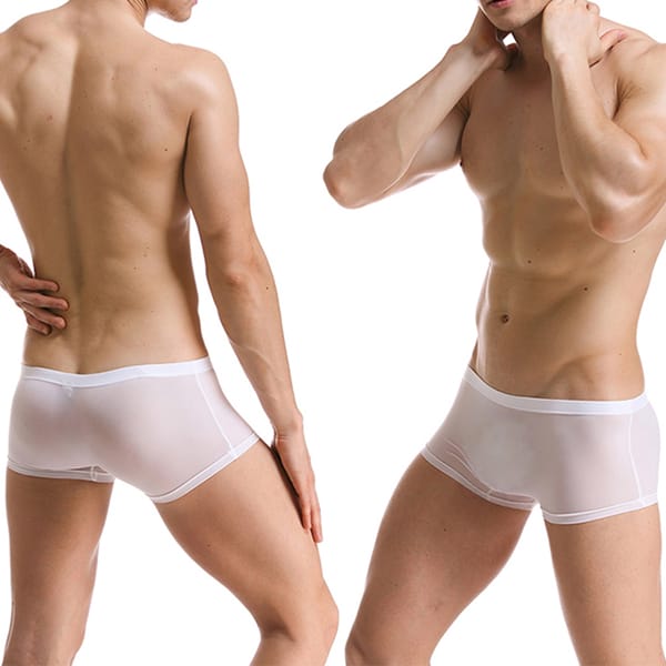Mens Sexy Underwear Ice Silk Boxers Shorts Super Thin Transparent Low-rise Trunks Soft Breathable Men Cueca Homme Panties