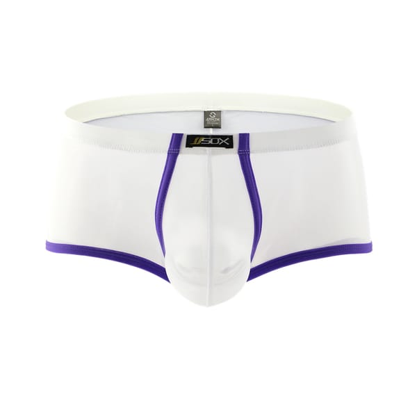 Male Underwear Boxers Low Waist Pouch Mesh See Through Mens Boxers Shorts Cuecas Transpanrent Underwear Fashion Mens Boxers