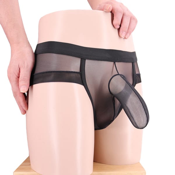 Recommend! men's  new design Mesh Transparent Briefs erotic sexy gay  sheath lingerie underwear