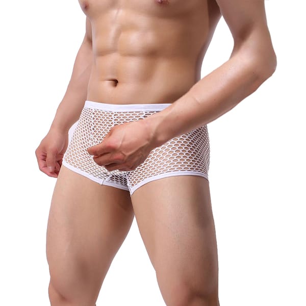 CLEVER-MENMODE Sexy Mesh Underwear Men Fishnet Boxers Transparent Erotic Lingerie Underpants Trunks Boxer Panties Shorts Bottoms