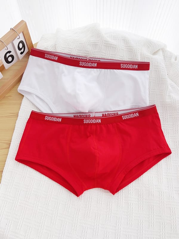 2pcs/lot men's underwear boyshort cotton low waist and narrow side solid color simple U convex design youth boxers.