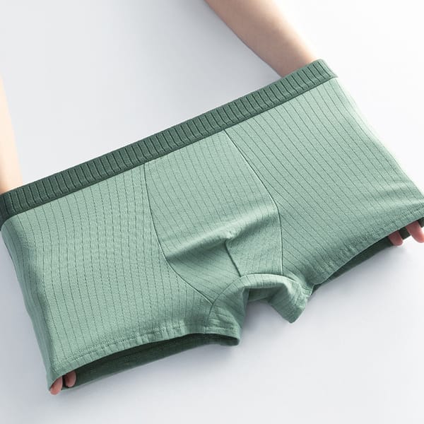Men's 100% Cotton Panties New Stripe Antibacterial Underpants Elastic Moisture Absorption Breathable Boxer Shorts Male Underwear