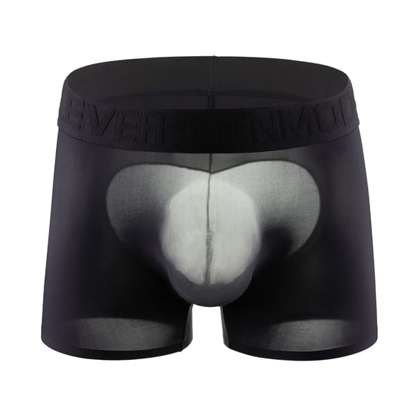 CLEVER-MENMODE Sexy Mesh Penis Pouch Panties Ultra-thin Underwear Men Transparent Butts Boxer Shorts Heart-shaped Ice Silk