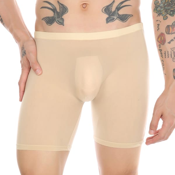 Mens Underwear Boxers Shorts Thin Transparent Ice Silk Panties Male Sexy U Convex Pouch Long Leg Underpants Cueca Calzoncillos