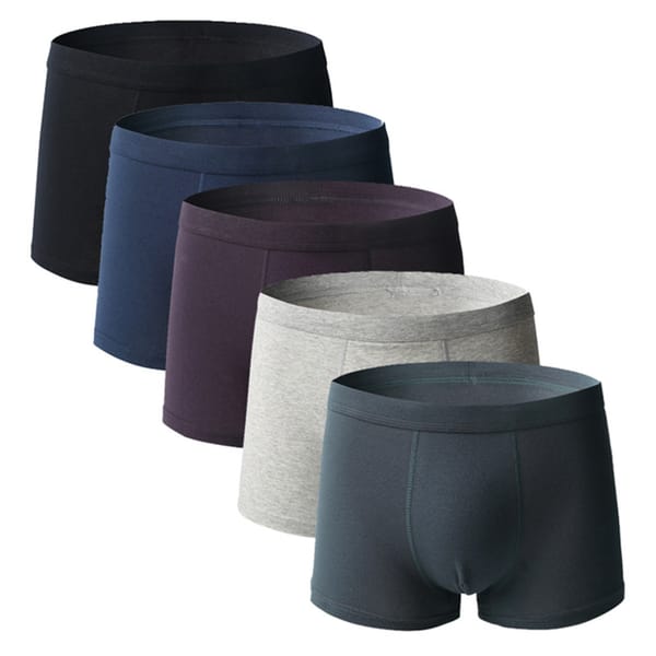 5 Pcs Big Size Boxer Briefs Shorts Undies Men Underwear Undershorts Boy Panties Cotton  Homme Underpants Knickers 4XL 5XL 6XL