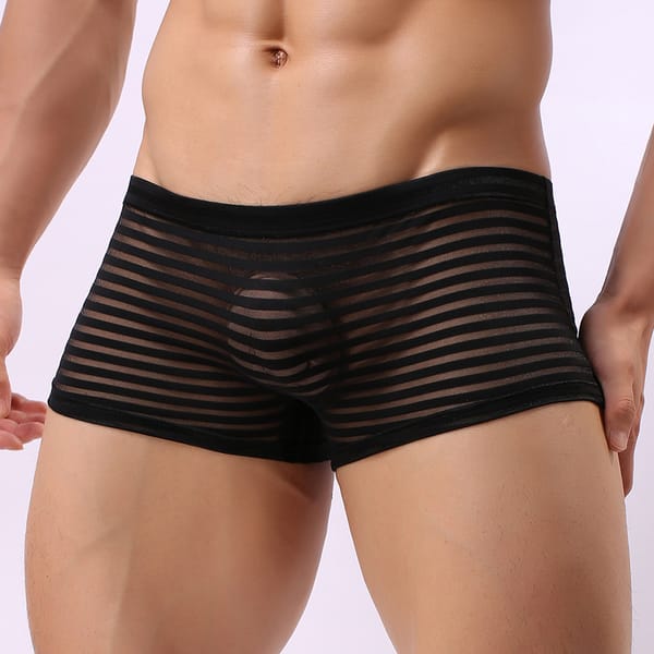 Sexy Men See Through Seamless Boxer Shorts Breathable Low Rise Briefs Stretch Underwear Male Bulge Pouch Trunks Underpants