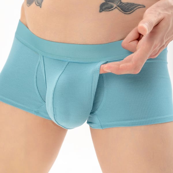 CLEVER-MENMODE Sexy Men Open Front Underwear Boxers Shorts Penis Pouch Soft Panties Cuecas calzoncillos hombre Underpants Boxer
