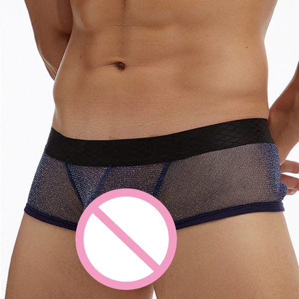 Boxer Briefs Men Mesh Transparent Underwear Sexy Low Rise Underpants Soft Breathable Pouch Bag Shorts Трусы Мужские