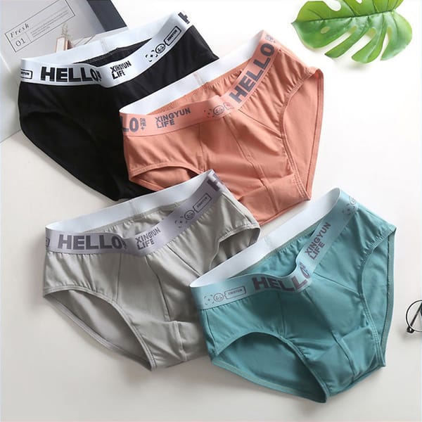 4Pcs/lot Men Briefs Cotton Underwear Men's Sexy Underpants Breathable Comfortable Soft Briefs Solid Shorts Cueca Male Panties