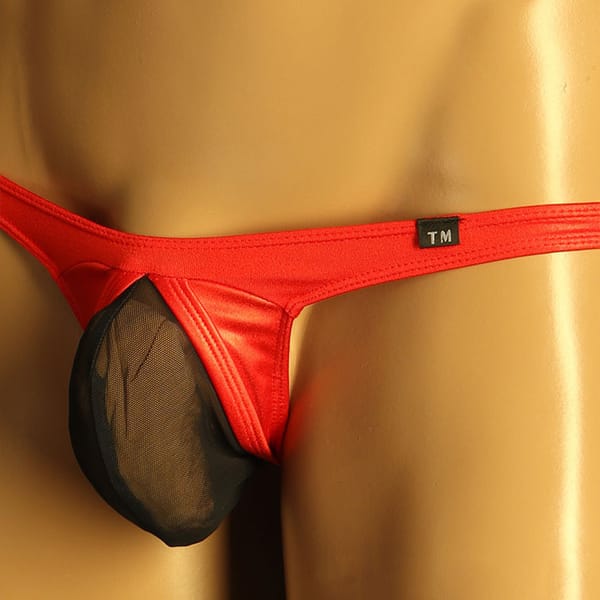U convex men's thong high elastic ice silk sexy large bag bag mesh pants men's single thong T pants  gay underwear  jockstrap