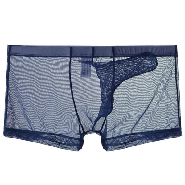 Sexy Men Transparent Trunks Underwear Ultra-Thin See Through Boxer Briefs Mesh Elephant Nose Panties Breathable Homme Slip