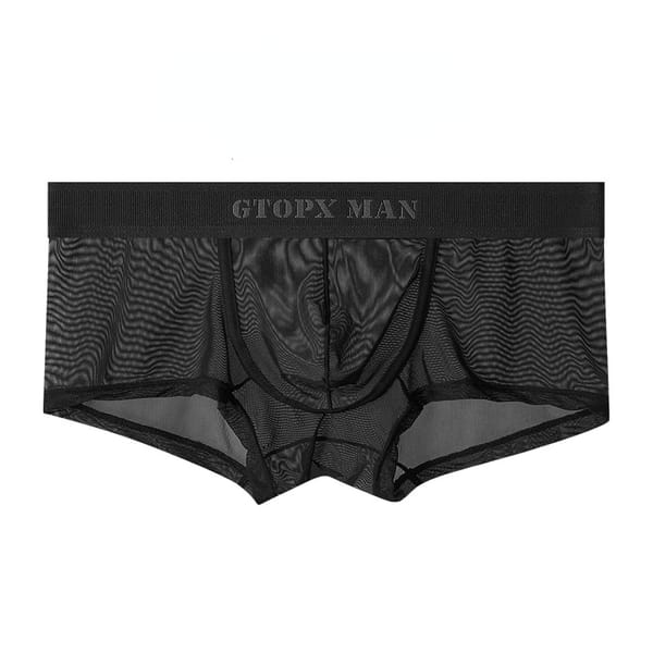 Underwear Mens Full Mesh Boxers Thin Ice Silk U Convex Low Waist Transparent Sexy Boys Underwear