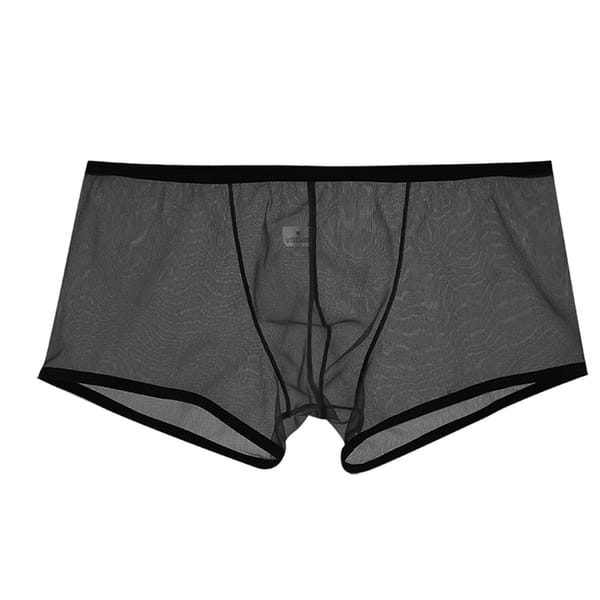 Men Fine Mesh See Through Boxer Briefs Low Waist Solid Colour Panties Fully Transparent Underpants Sexy Underwear Lingerie